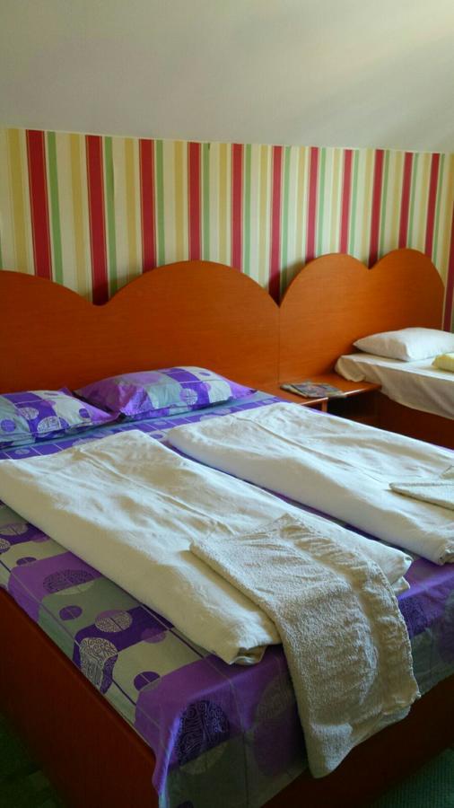 Motel Ioanis Mîndruloc エクステリア 写真