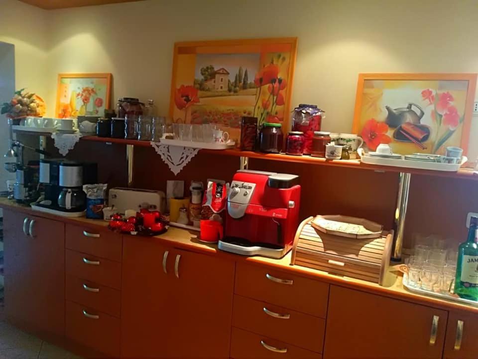 Motel Ioanis Mîndruloc エクステリア 写真